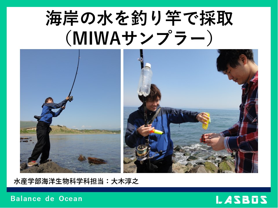 海岸の水を釣り竿で採取（MIWAサンプラー）