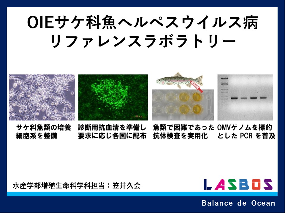 OIEサケ科魚ヘルペスウイルス病リファレンスラボラトリー