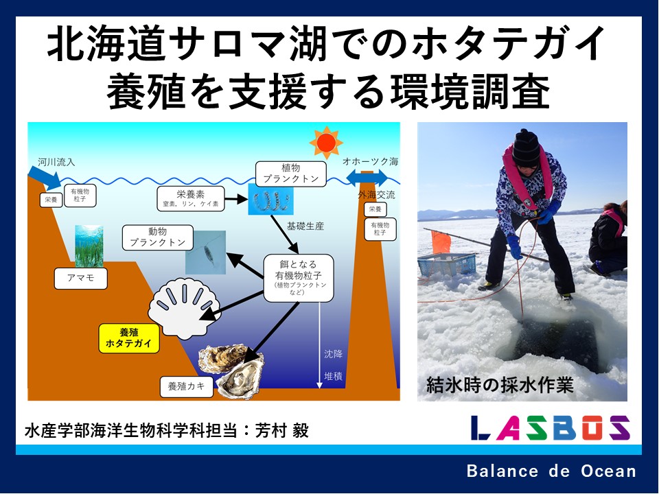 北海道サロマ湖でのホタテガイ養殖を支援する環境調査