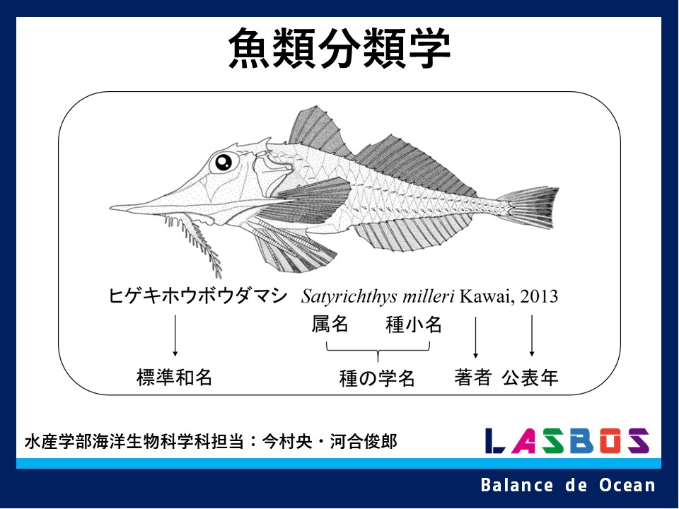 魚類分類学