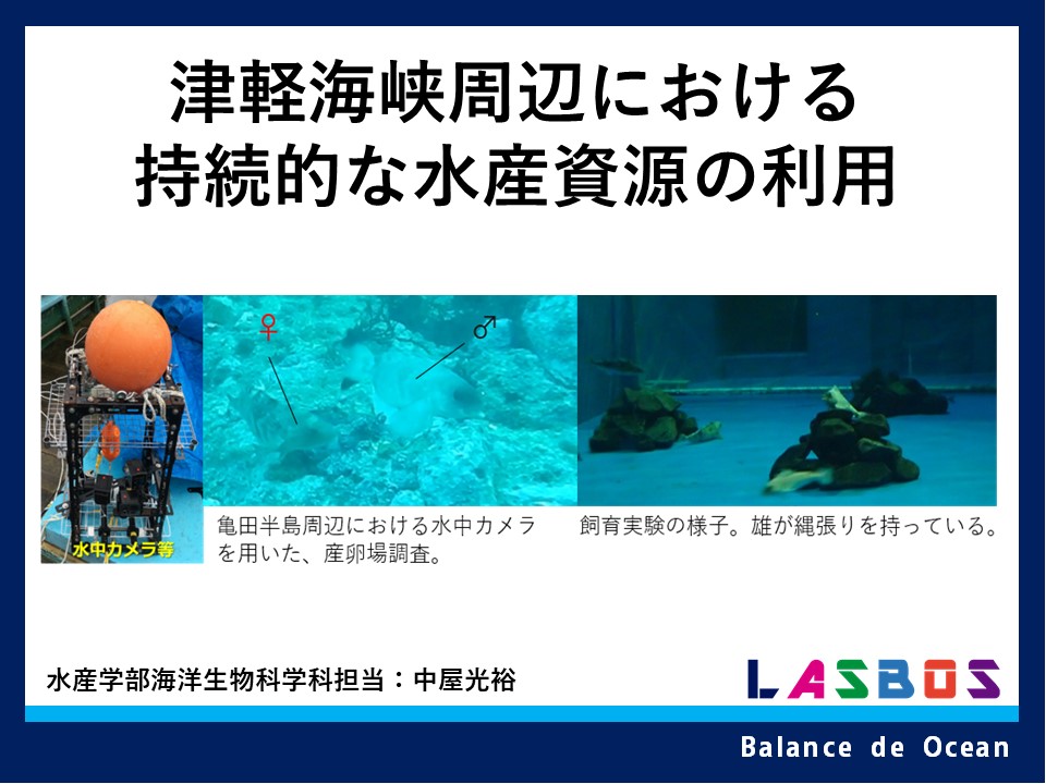 津軽海峡周辺における持続的な水産資源の利用