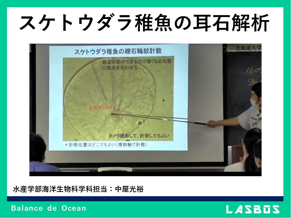 Curso: LASBOS SDGs（目標14：海の豊かさを守ろう） | LASBOS Moodle