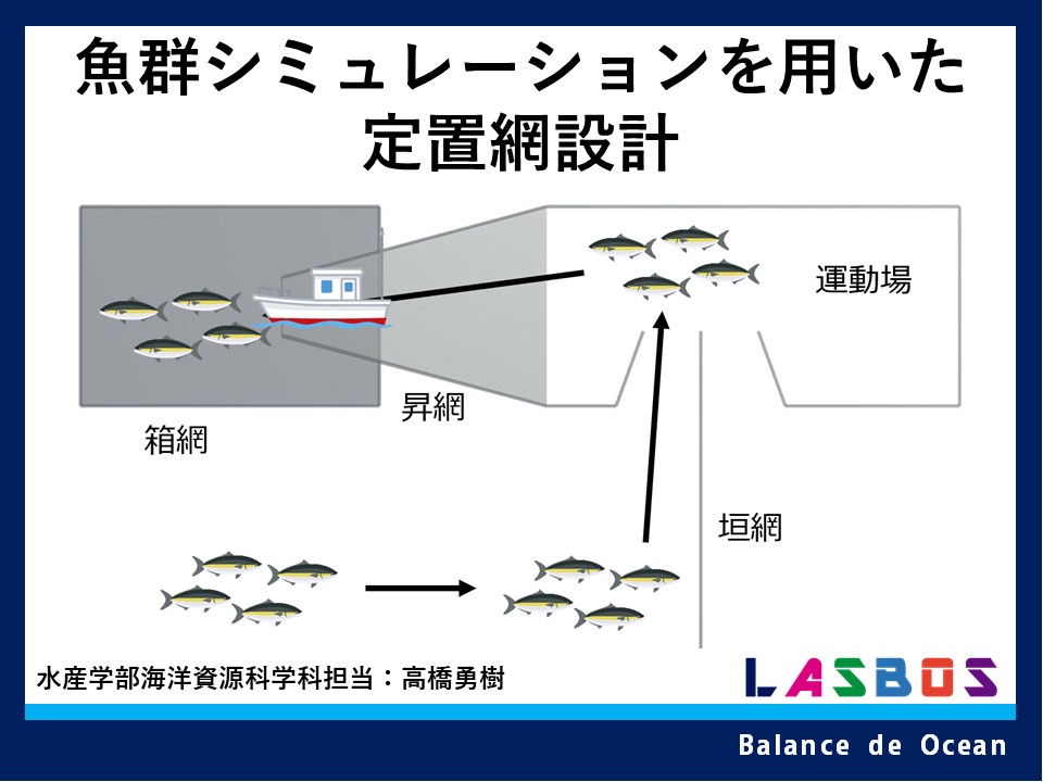 魚群シミュレーションを用いた定置網設計