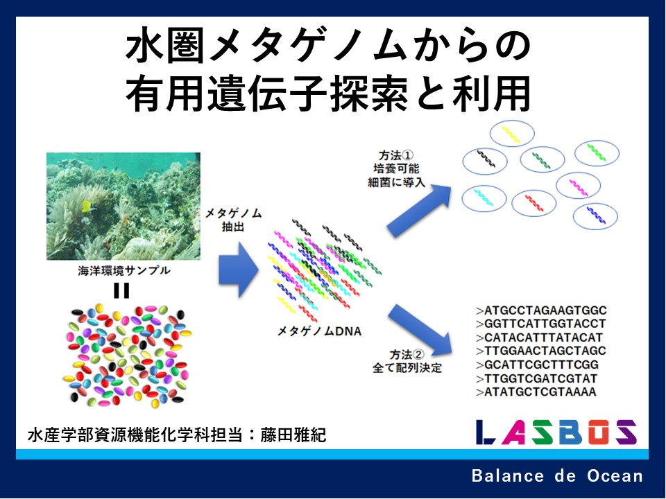 水圏メタゲノムからの有用遺伝子探索と利用