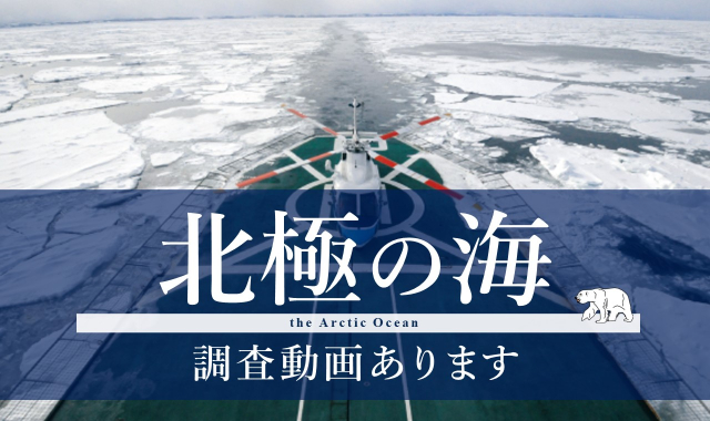 Course Image 北極の海 the Arctic Ocean