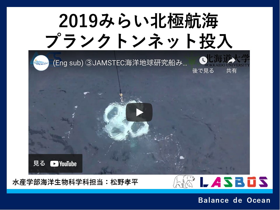 コース: 北極の海 the Arctic Ocean | LASBOS Moodle