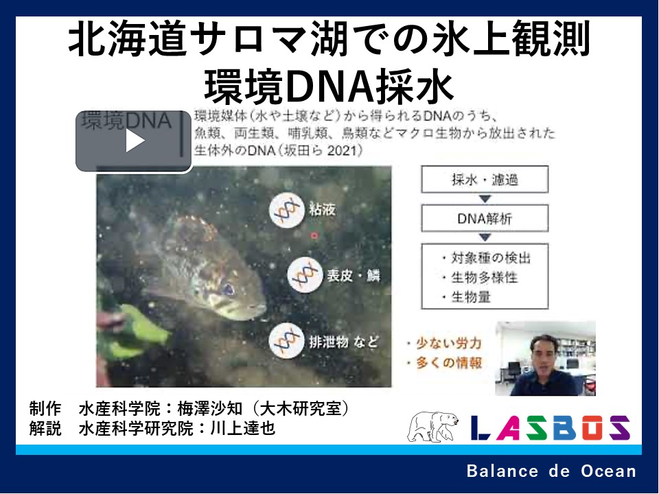 北海道サロマ湖での氷上観測環境DNA採水
