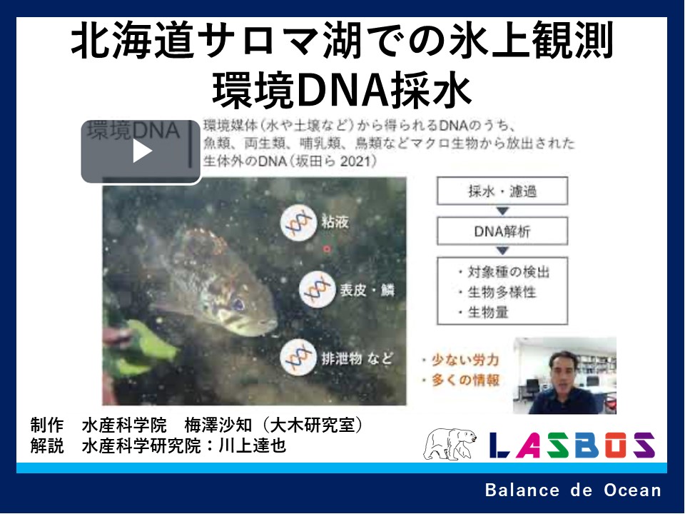 北海道サロマ湖での氷上観測環境DNA採水