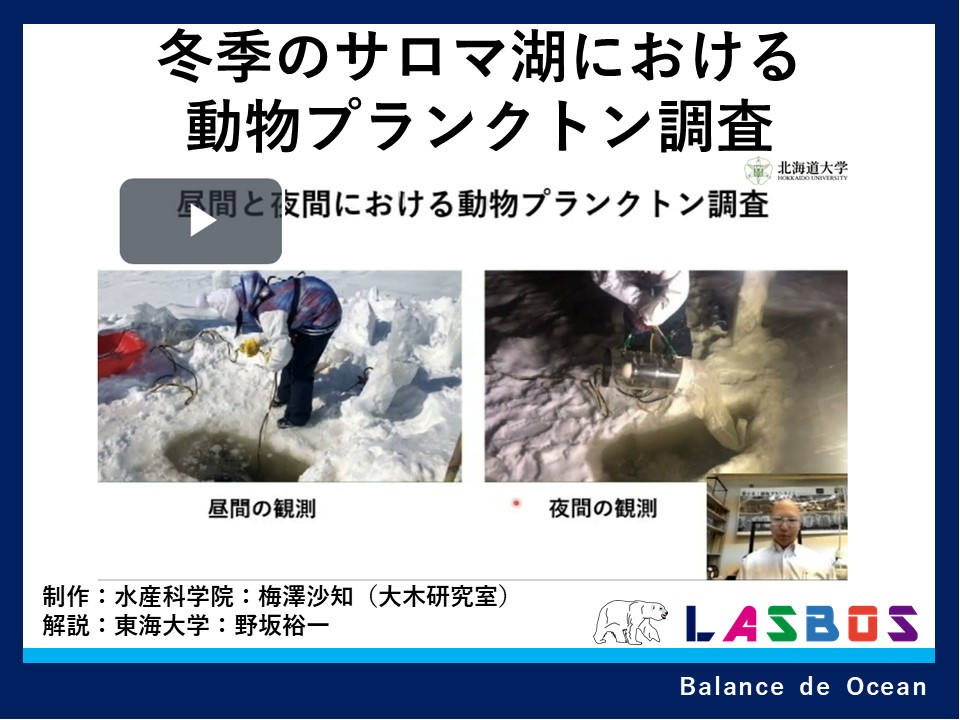 コース: 冬季のサロマ湖における動物プランクトン調査（東海大学