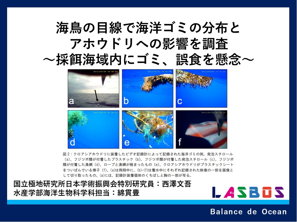 Khóa: 水産学部研究紹介 | LASBOS Moodle