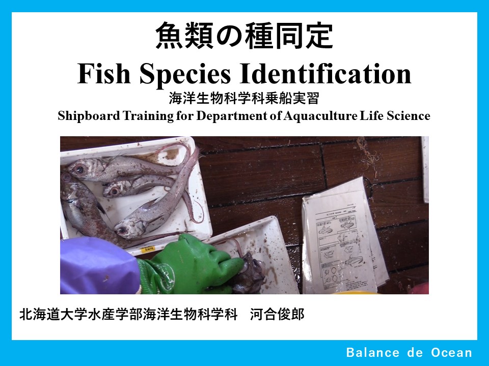 コース: 実験や実習を知る | LASBOS Moodle