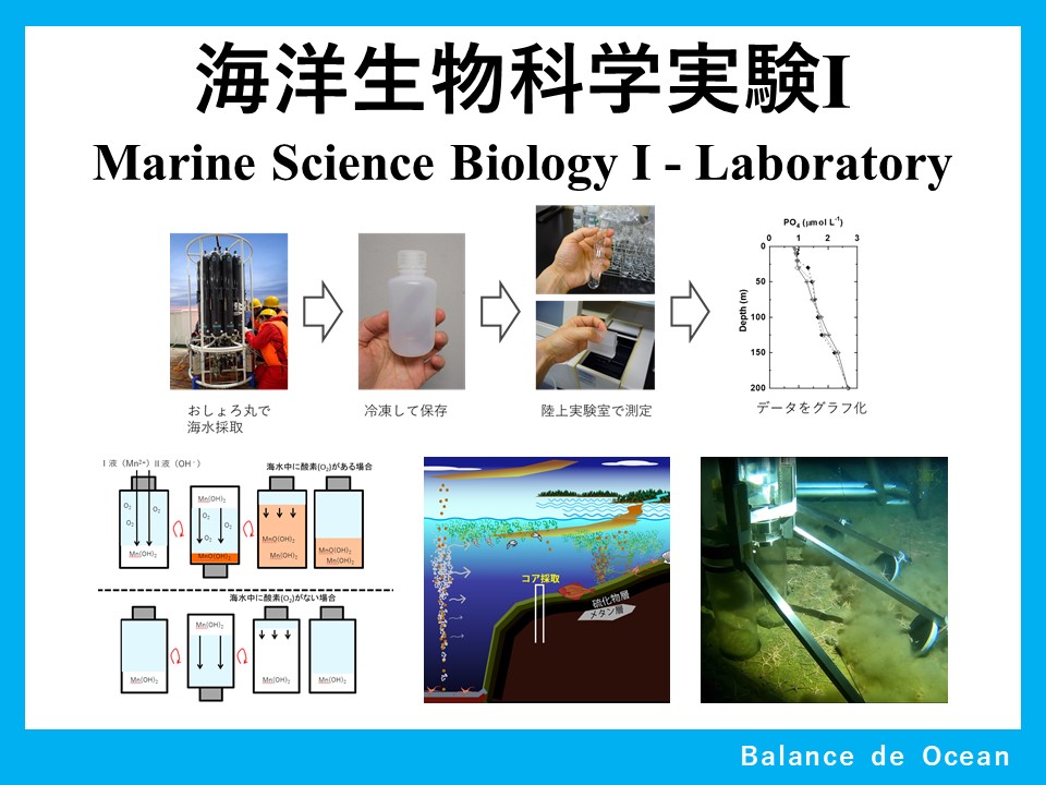 海洋生物科学実験Ⅰ