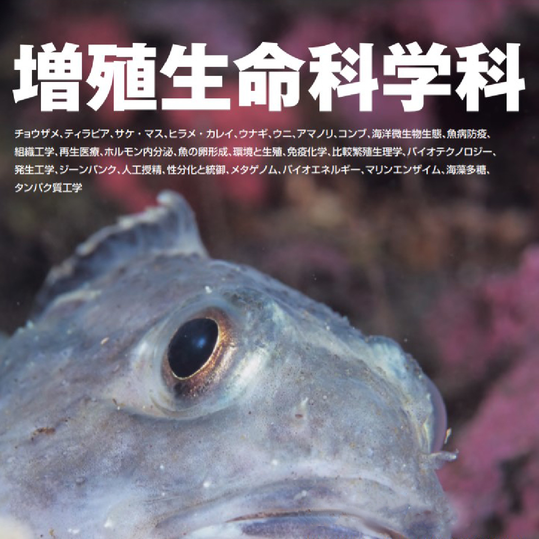 コース: 水産学部いつでもオープンキャンパス | LASBOS Moodle