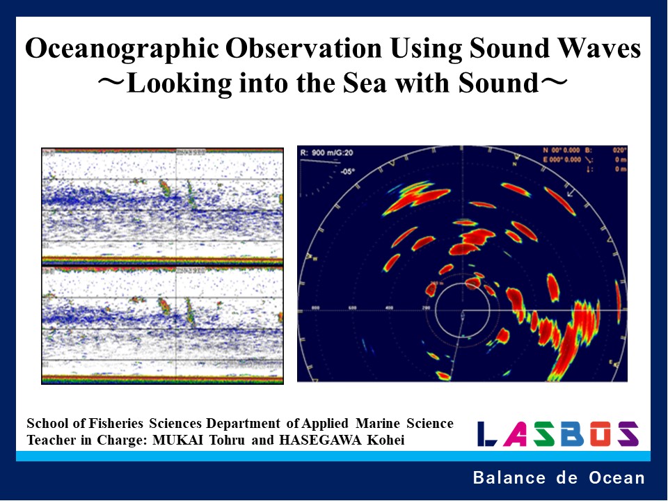 Oceanographic Observation Using Sound Waves ~Looking into the Sea with Sound~