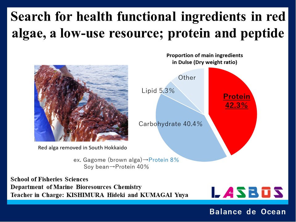 Search for health functional ingredients in red algae, a low-use resource; protein and peptide