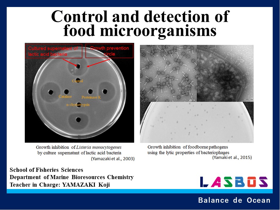 Control and detection of food microorganisms