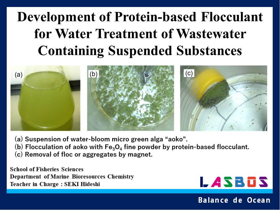 Development of Protein-based Flocculant for Water Treatment  of Wastewater Containing Suspended Substances