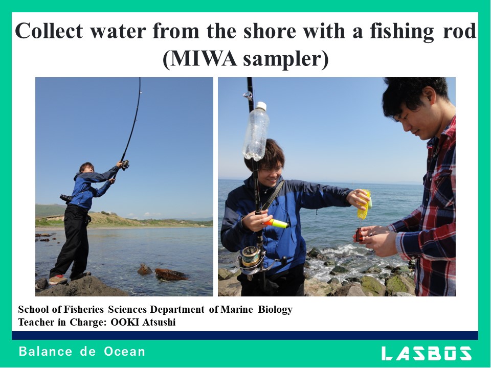 Collect water from the shore with a fishing rod (MIWA sampler)
