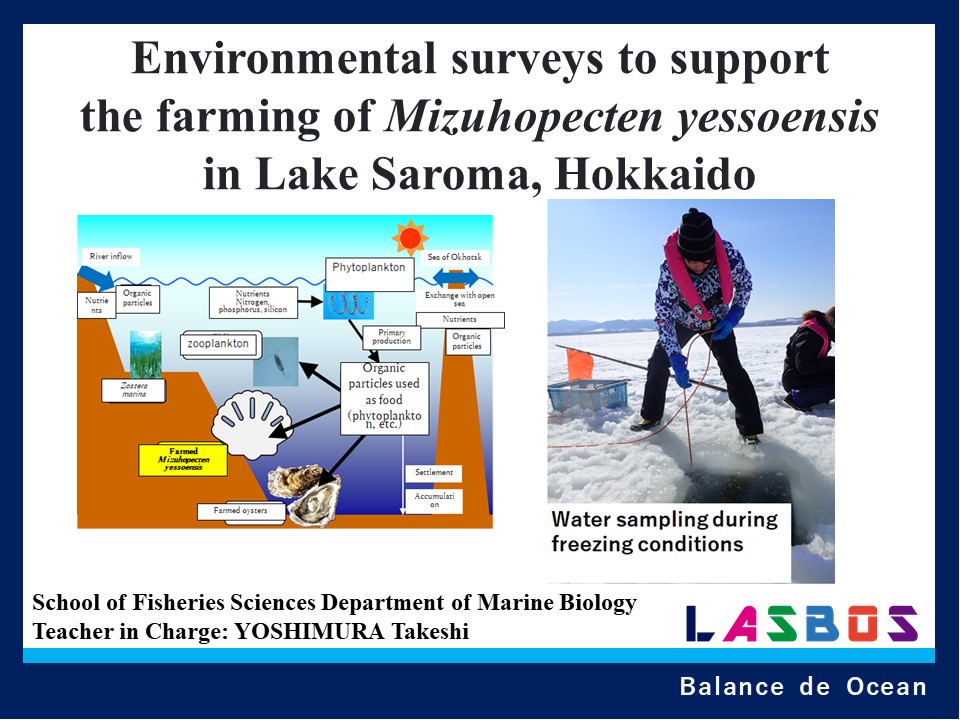 Environmental surveys to support the farming of Mizuhopecten yessoensis in Lake Saroma, Hokkaido