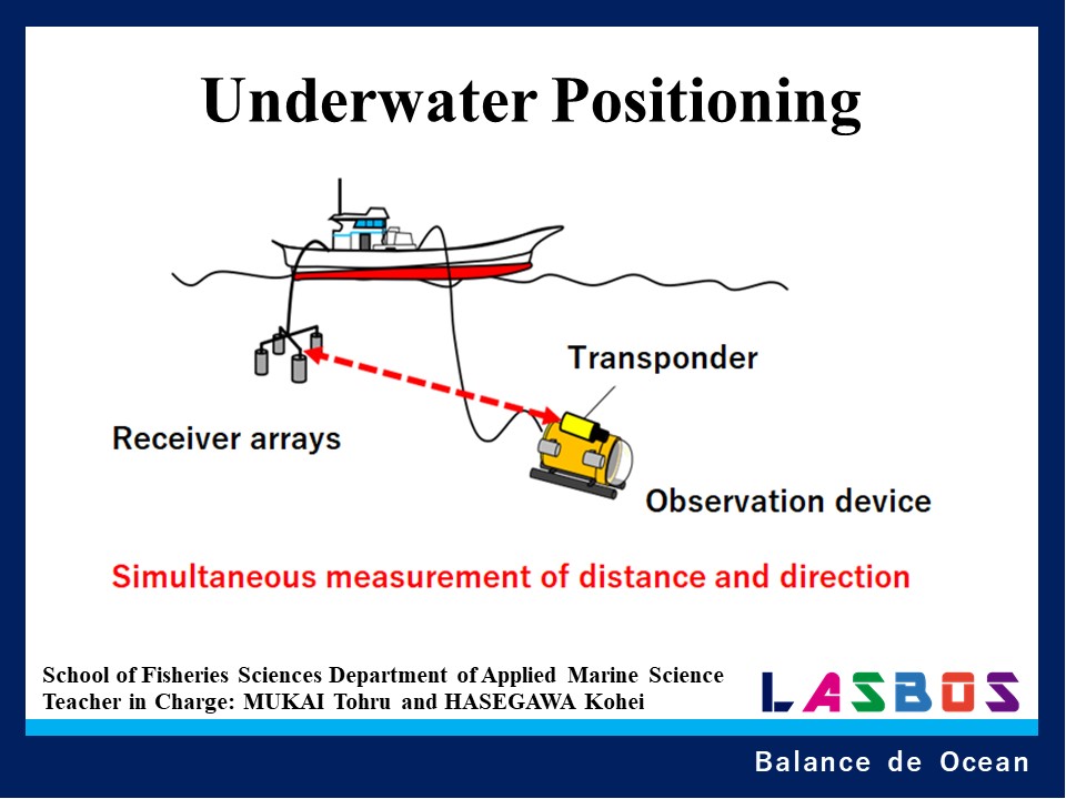 Underwater Positioning