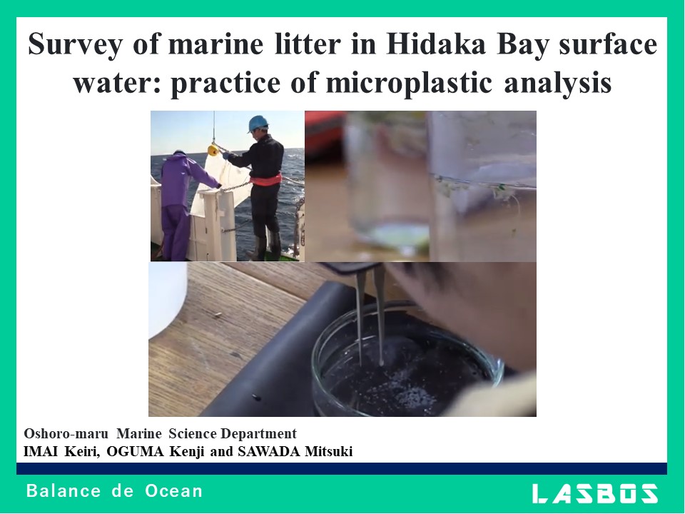 Survey of marine litter in Hidaka Bay surface water: practice of microplastic analysis
