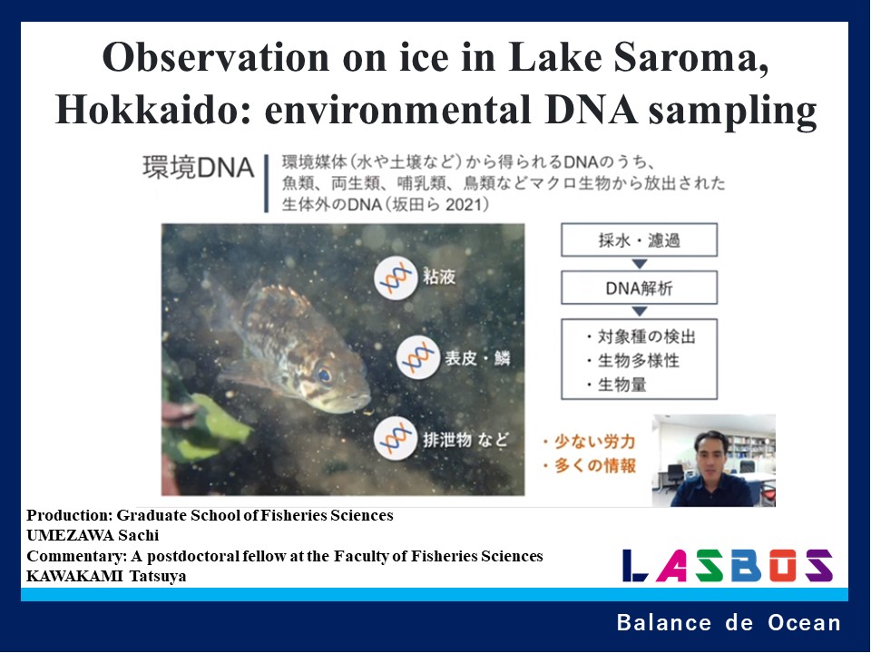 Observation on ice in Lake Saroma, Hokkaido: environmental DNA sampling
