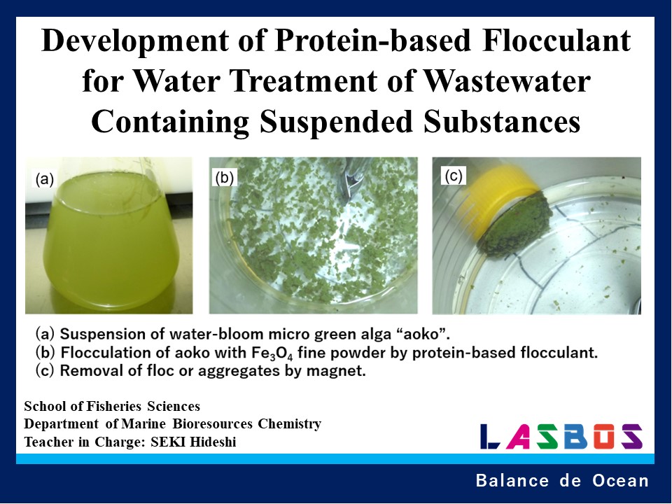 Development of Protein-based Flocculant for Water Treatment of Wastewater Containing Suspended Substances