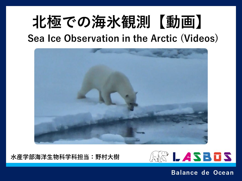 北極での海氷観測【動画】Sea Ice Observation in the Arctic (Videos)
