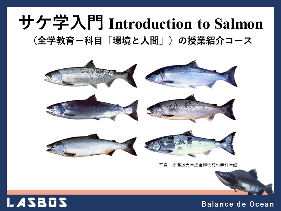 サケ学入門 Introduction to Salmon（全学教育ー科目「環境と人間」）の授業紹介コース