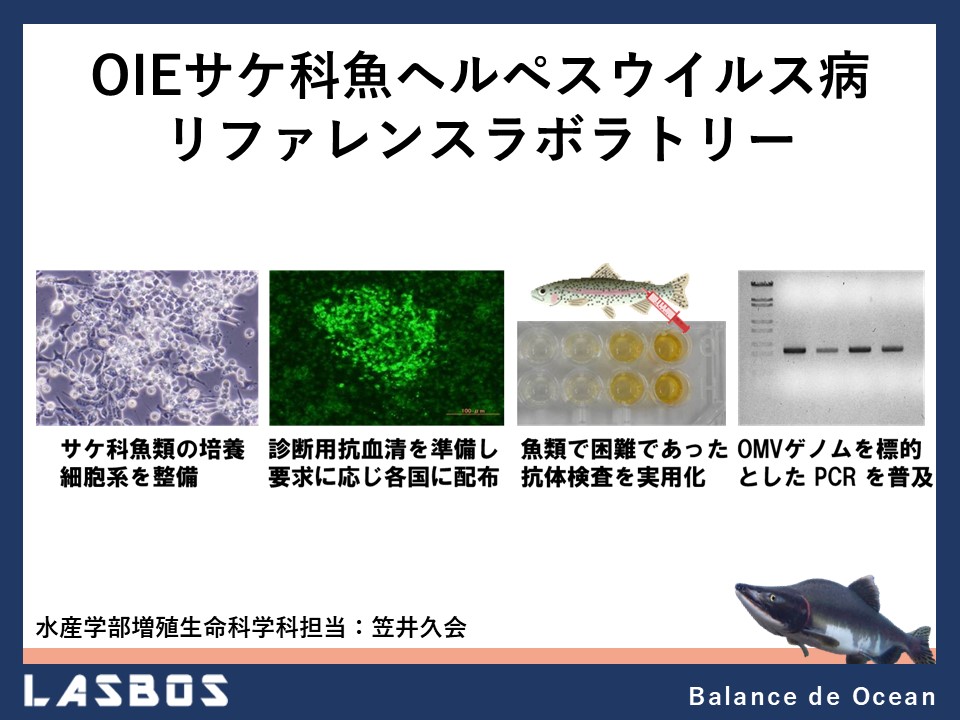 OIEサケ科魚ヘルペスウイルス病リファレンスラボラトリー