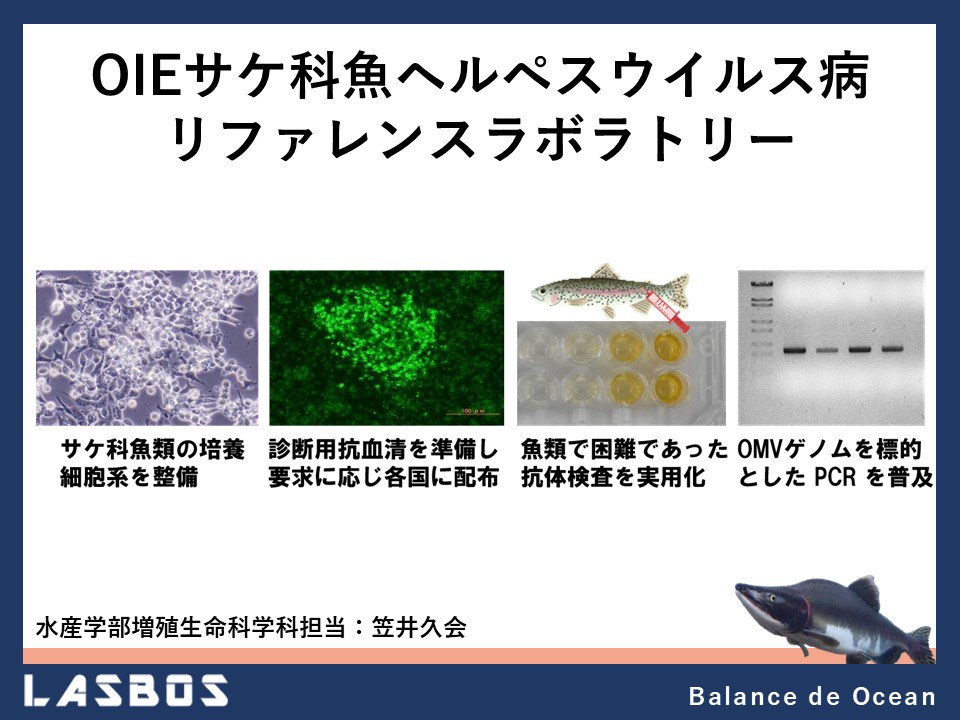 ウイルス病 | 農研機構