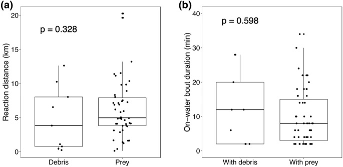 Comparison of the behavioral response of black-footed albatrosses to debris and prey