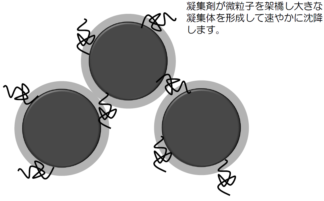 Course: 凝集