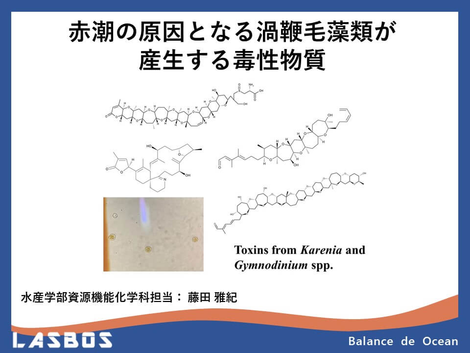 Course: 道東の赤潮 Red tides in the sea of east Hokkaido | LASBOS Moodle