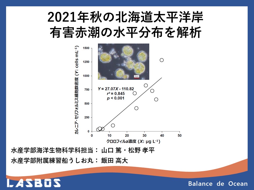 2021年秋の北海道太平洋岸有害赤潮の水平分布を解析