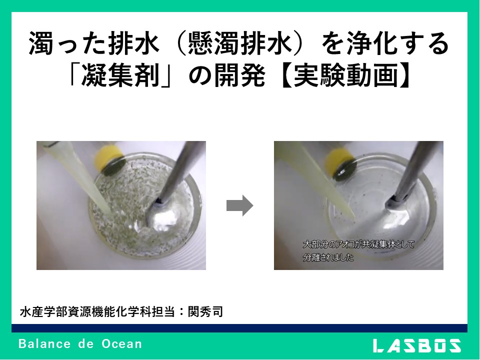 濁った排水（懸濁排水）を浄化する「凝集剤」の開発【実験動画】
