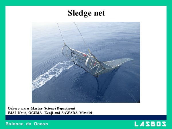 Sledge net