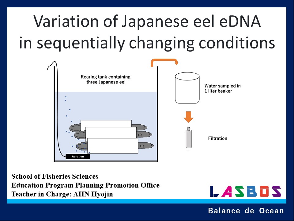 Variation of Japanese eel eDNA in sequentially changing conditions