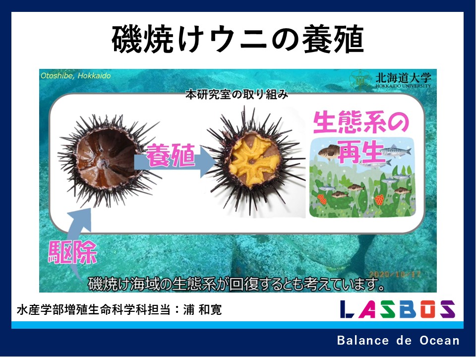 コース: 増殖生命科学科の紹介コース | LASBOS Moodle