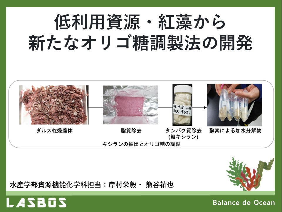 低利用資源・紅藻から新たなオリゴ糖調製法の開発