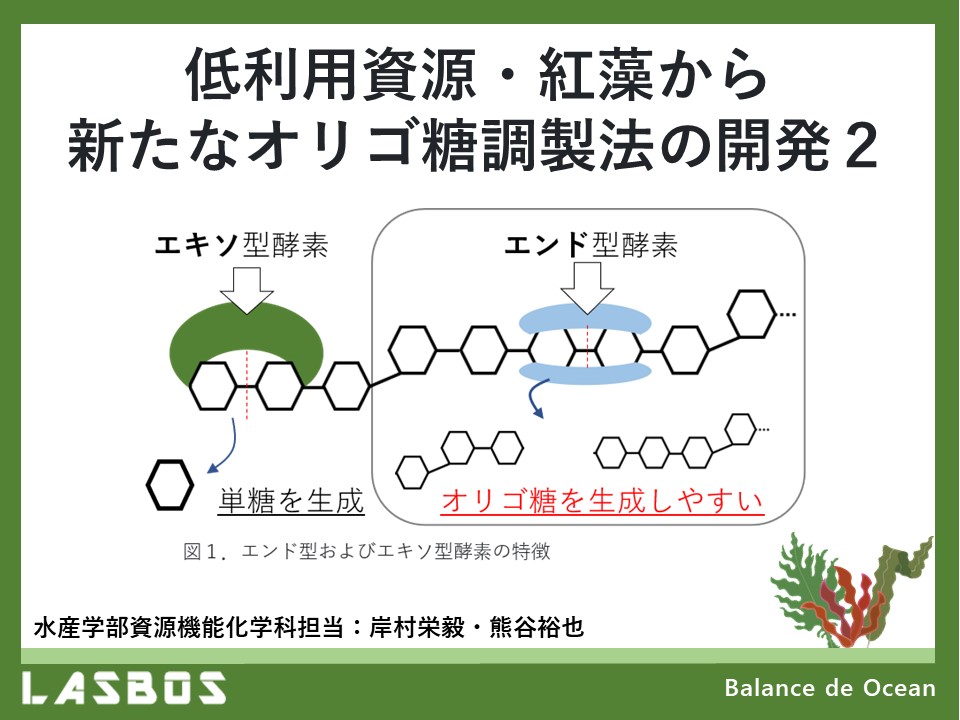 低利用資源・紅藻から新たなオリゴ糖調製法の開発2