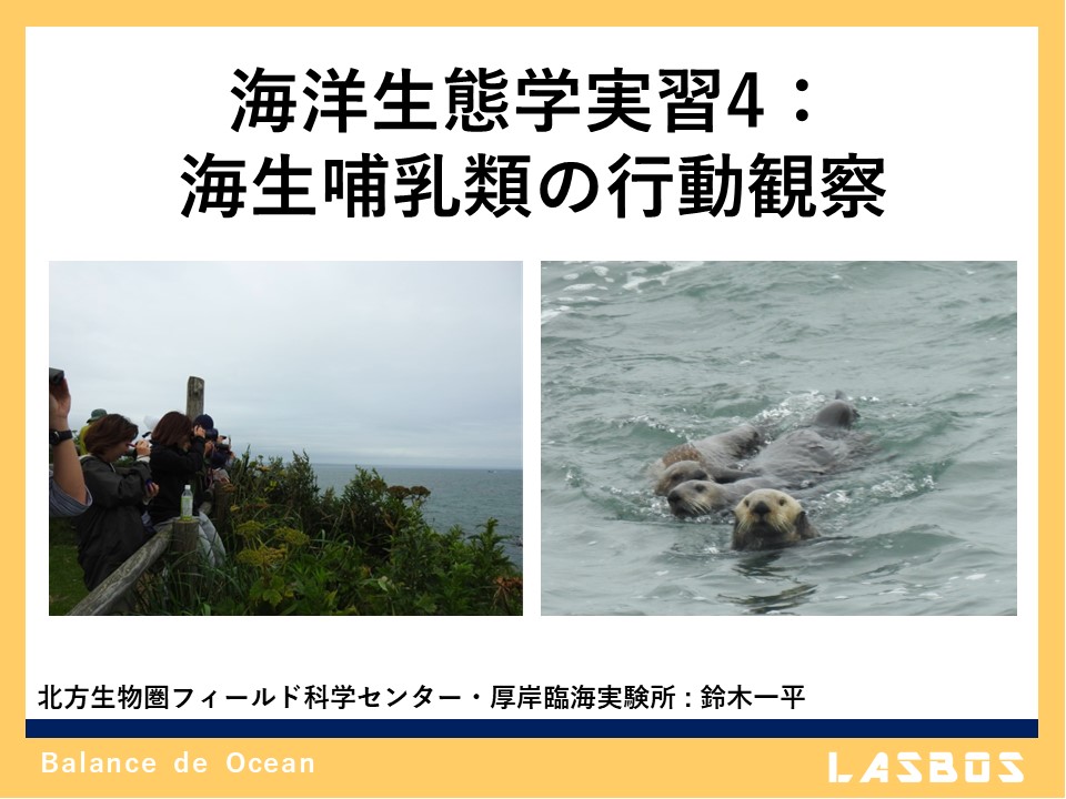 海洋生態学実習4：海生哺乳類の行動観察