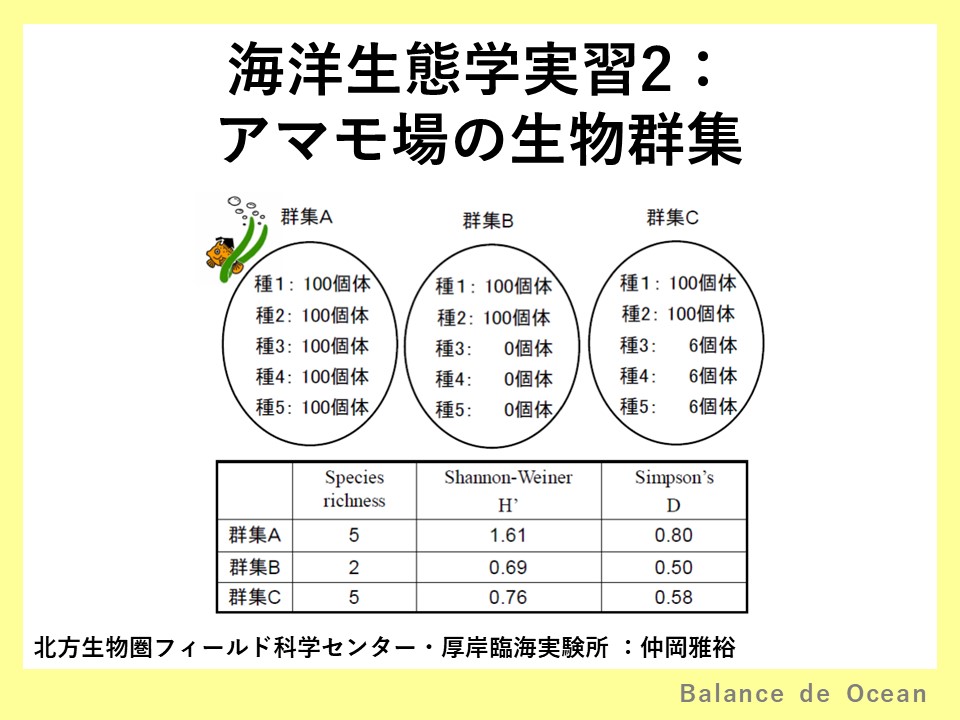 海洋生態学 コース: 実験や実習を知る | LASBOS Moodle