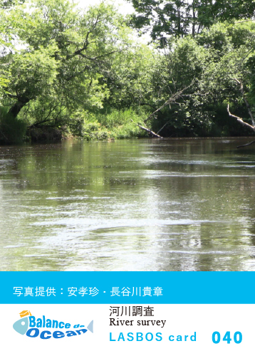 040_河川調査 River survey