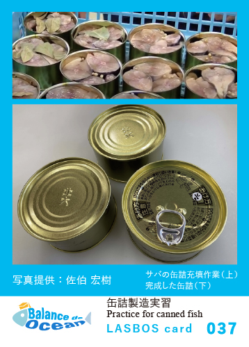 037_缶詰製造実習 Practice for canned fish