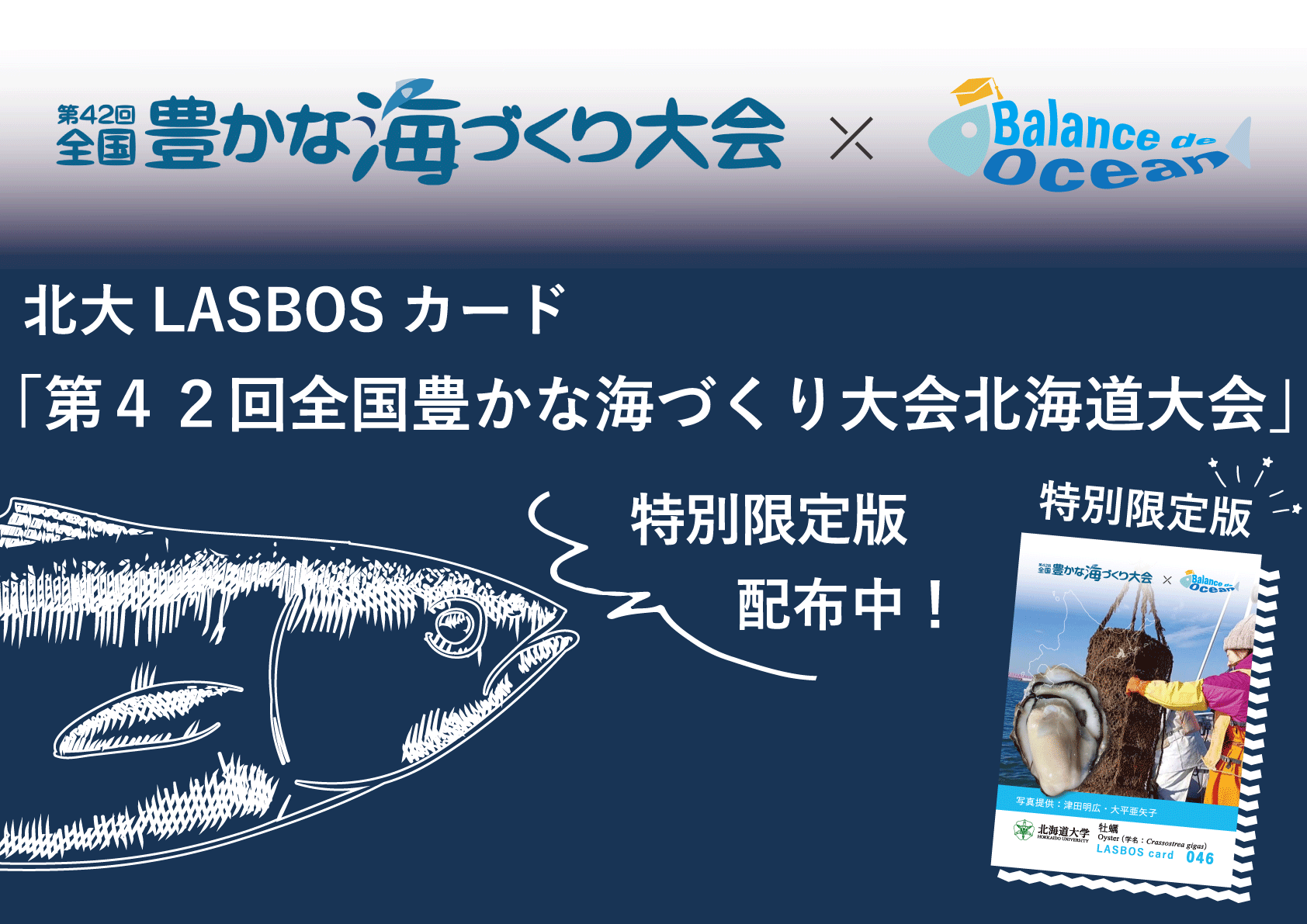 Japan様専用第42回全国豊かな海づくり北海道大会記念ボトル700 Japan様専用第42回全国豊かな海づくり北海道大会記念ボトル700