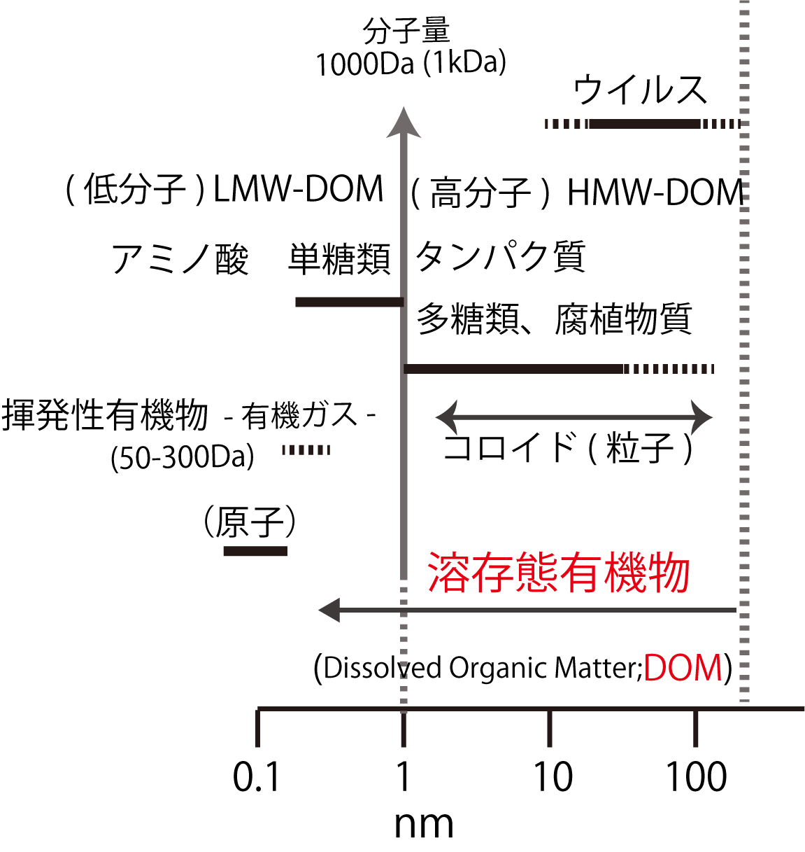 コース 粒子状と溶存態の有機物 LASBOS Moodle