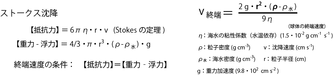 Ooki Oc 3 粒子の沈降 ストークス沈降の計算結果