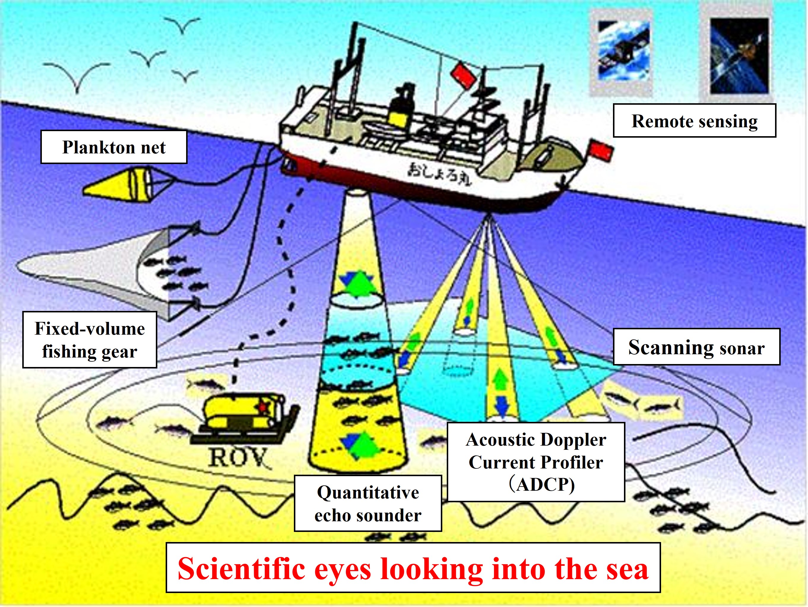 Scientific eyes looking into the sea