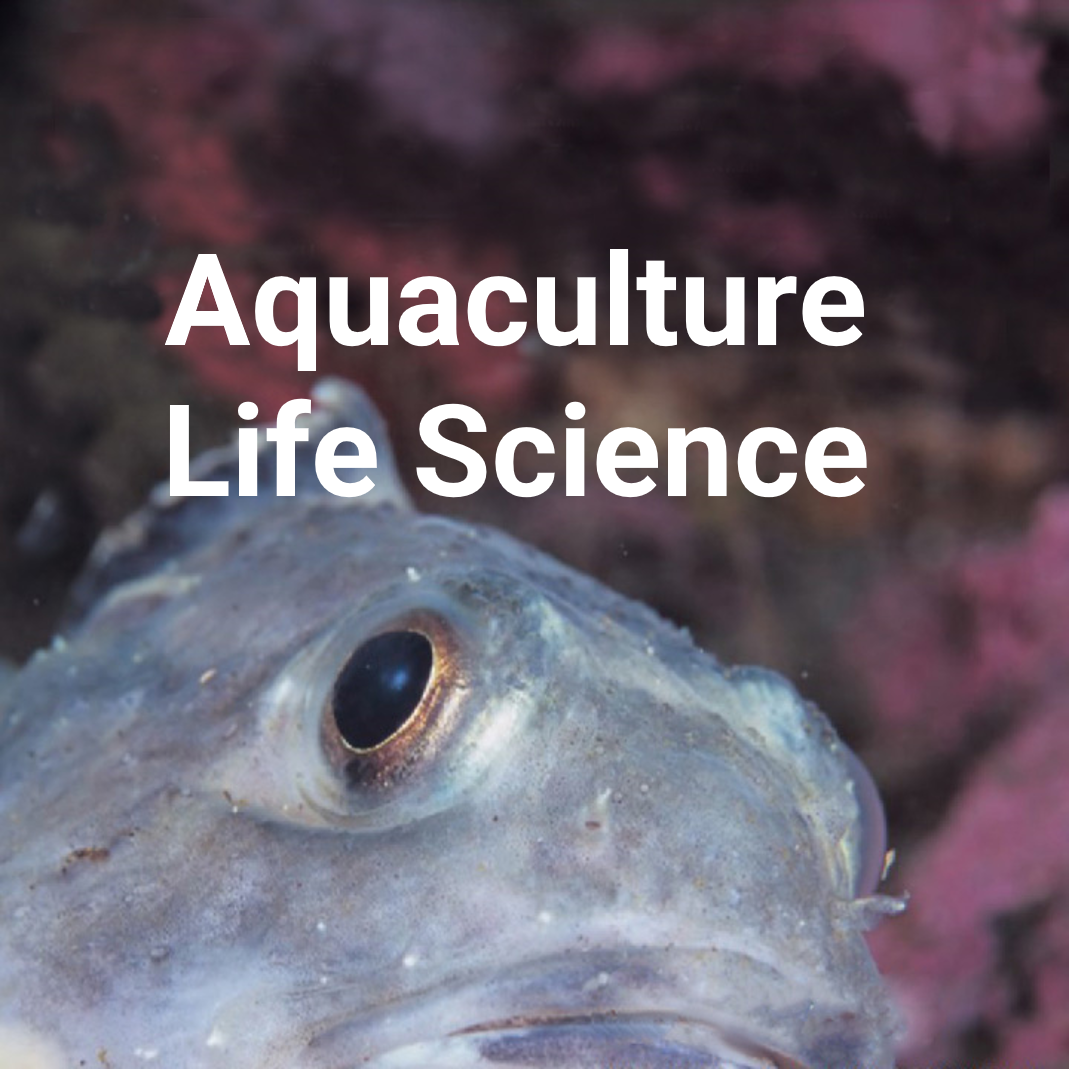 増殖生命科学科Aquaculture Life Science